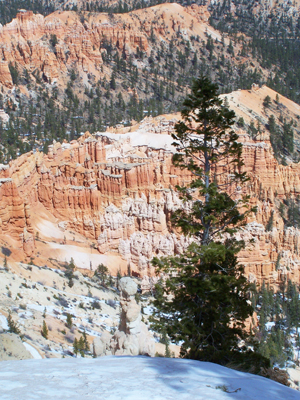 Explore Roadside Nature- Bryce Canyon NP Winter Hoodoos
